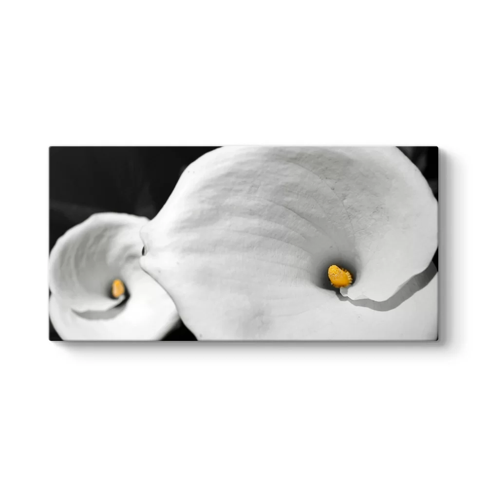 Calla Zambaklar Tablosu - Model 5